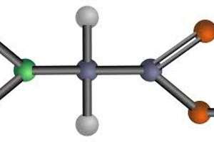 Aminoácidos: O que são e a sua Importância no Treinamento