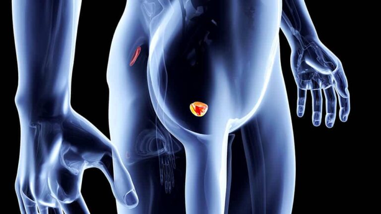 Doenças de próstata – causas, sintomas e tratamentos