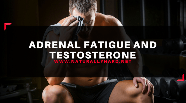 Fadiga adrenal e testosterona