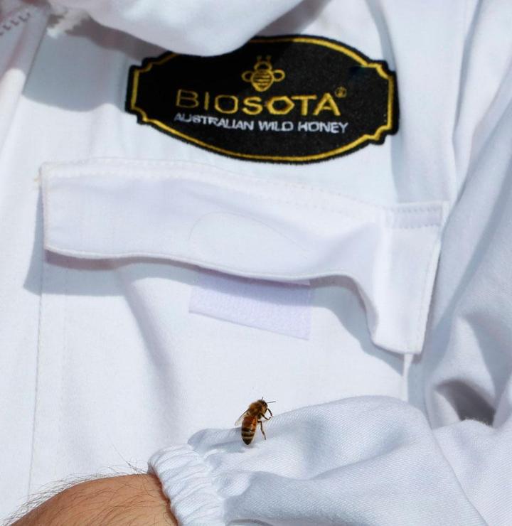 POR QUE MANUKA MEL SERÁ O SEU MELHOR AMIGO