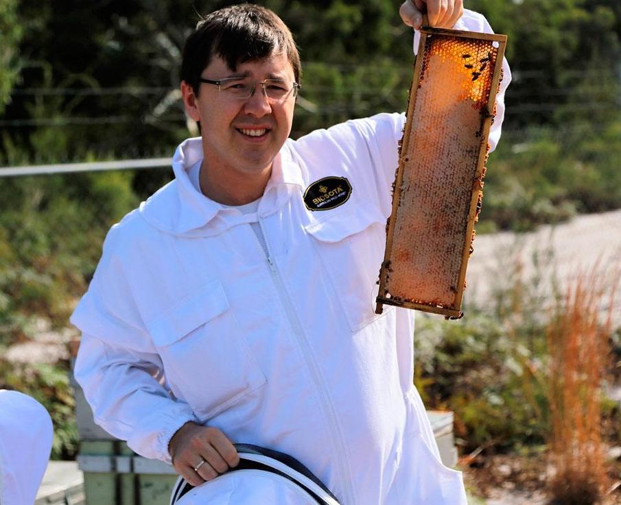 TUDO O QUE VOCÊ QUER SABER SOBRE MEL