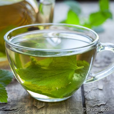 UMA LISTA DE ERVAS PARA FAZER CHÁS E OUTRAS PREPARAÇÕES