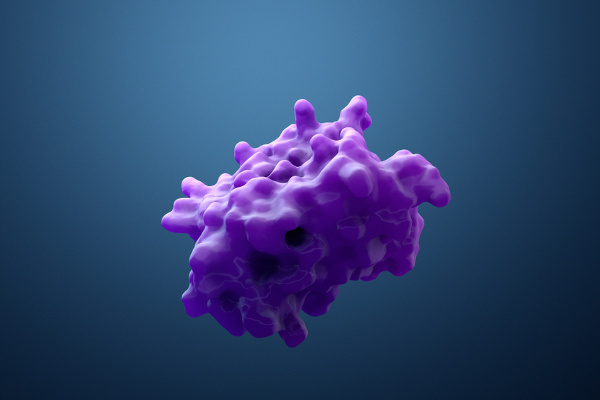 Terapia da dor com as enzimas