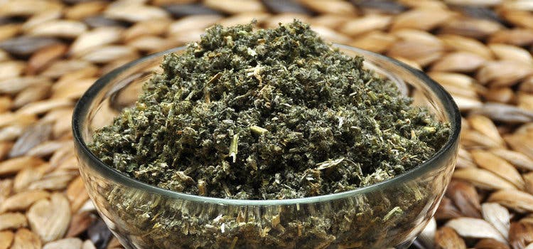 Os benefícios do Horehound para a saúde