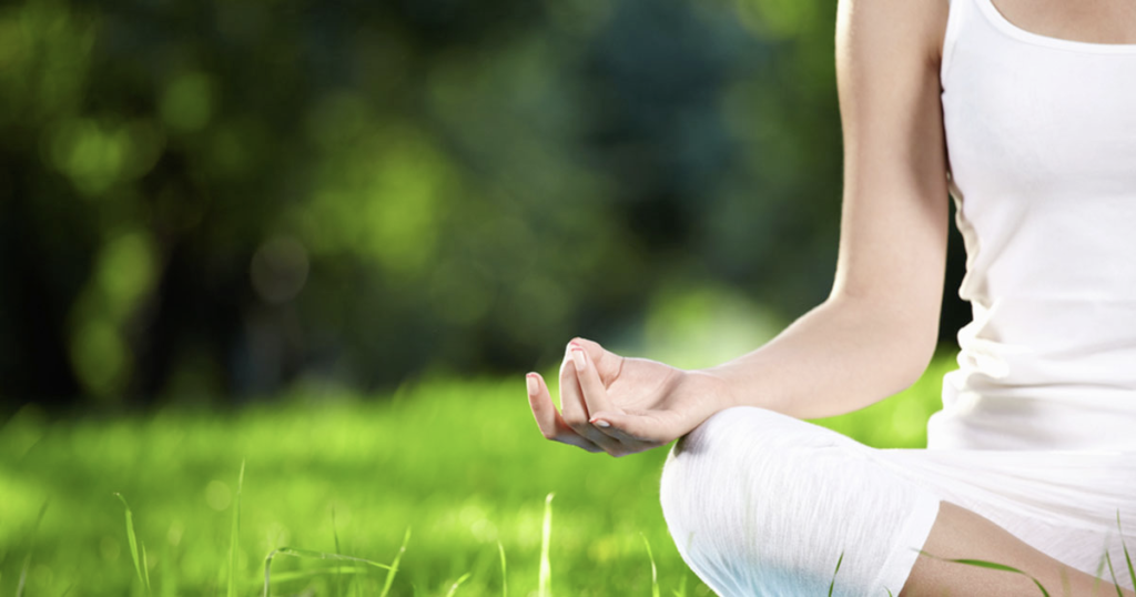 Melhores ervas para a saúde renal e do trato urinário