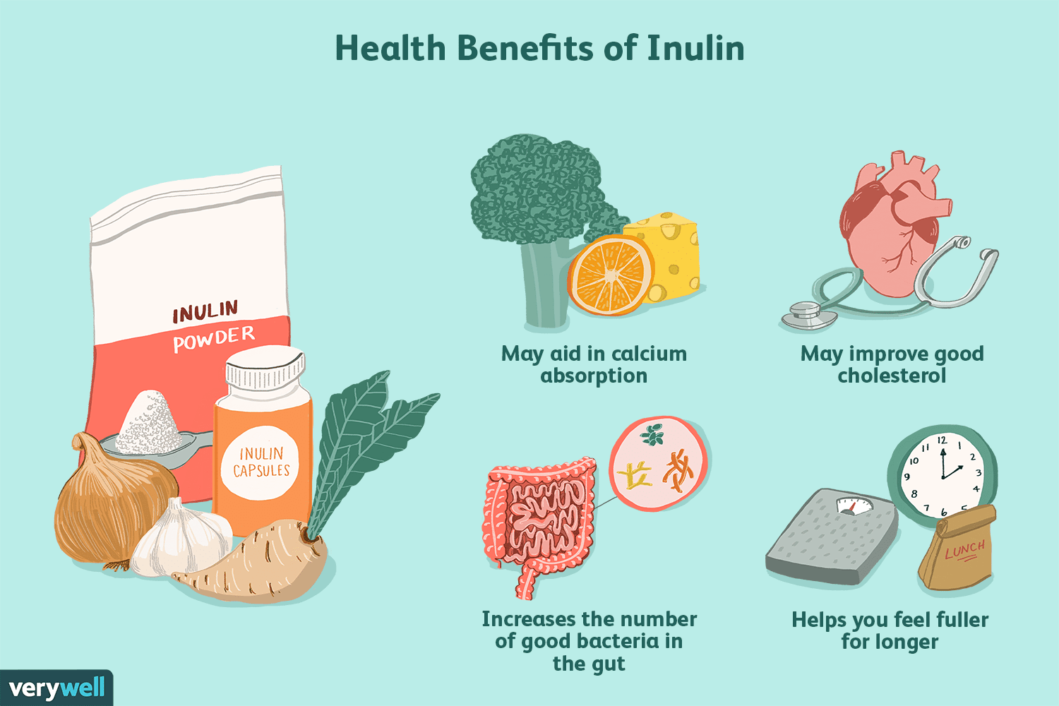 Os benefícios da inulina para a saúde 2 the health benefits of inulin 4587258 v2 3c7719ba3fc44c54816308af6cdc4922