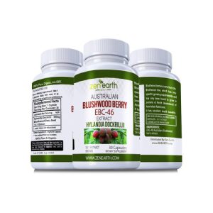 Blushwood EBC46 - Tratamento suporte para o câncer - Zen Earth - 30 cápsulas