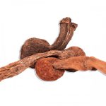 Huanarpo Macho - Raintree Formulas, 500 mg - 100 Capsulas