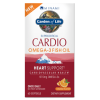 Cardio Omega-3 Óleo de Peixe, Garden Of Life, 60 Cápsulas