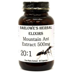 Extrato de Formiga da Montanha 500mg - Barlowe's Herbal Elixirs - 60 cápsulas