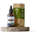 Cryptolepis Extrato sem álcool, Criptolepis silvestre (Cryptolepis Sanguinolenta) Suplemento de Tintura de Raiz (2 FLOZ) - 60ml