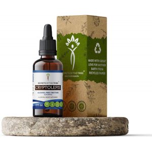 Cryptolepis Extrato sem álcool, Criptolepis silvestre (Cryptolepis Sanguinolenta) Suplemento de Tintura de Raiz (2 FLOZ) - 60ml