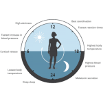 Epitalon Spray - Bioregulator Pineal Sublingual - 20ml