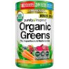 Suplemento Smoothie Mix - Pó Super Verde Orgânico - suplemento em pó de frutas + vegetais - 24 porções