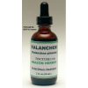 Kalanchoe Tintura (1:4) - Tropilab - 60ml