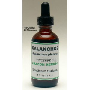 Kalanchoe Tintura (1:4) - Tropilab - 60ml