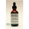 Mullaca Tintura (1:4) - Tropilab - 60ml