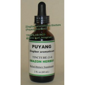 Zingiber Tintura (1:4) - Tropilab - 60ml