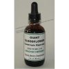 Flor de Sangue Gigante Tintura (1:4) - Tropilab - 60ml