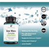 Sea Moss Complex 1600mg Plus Bladderwrack &  Burdock - Adora Organic - 120 capsulas