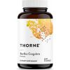 Bacillus Coagulantes, Suplemento Probiótico Diário para Apoio da Saúde Intestinal, Thorne Research, 60 Cápsulas
