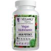 Multivitaminico Premium Projetado para Veganos e Vegetarianos, Um por dia, com B12 (Metilcobalamina), Veganly - 90 cápsu