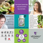 Multivitaminico Premium Projetado para Veganos e Vegetarianos, Um por dia, com B12 (Metilcobalamina), Veganly - 90 cápsu