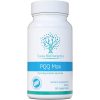 PQQ Max Quinone Piroloquinolina, Swiss Bioenergetics, 20mg, 60 Cápsulas