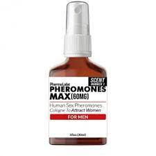 Extrato de folha de urtiga - Carlyle - 2000mg - 300 Cápsulas