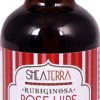 Óleo Orgânico Rubiginosa do Lesotho com Rose Hips Shea Terra