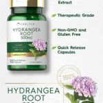 Hydrangea em cápsulas, Carlyle, 500mg, 100 Cápsulas