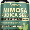 Mimosa Pudica, cápsulas de extrato de semente pura equivalente a 3875 mg, Auxilia na digestão saudável, imunidade, 150 cápsulas veganas
