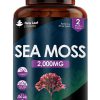 Irish Sea Moss em comprimidos de Alta potência, fabricado no Reino Unido, New Leaf Supplements, 2000mg por porcao