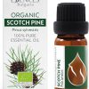 Óleo essencial de pinheiro selvagem orgânico, Pinus sylvestris 100% puro e natural, sem diluir, grau terapêutico, desestilado a vapor, Essences Bulgaria, 10 ml