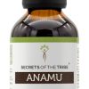 Anamu Tintura Extrato, Wildcrafted Jamaican Guinea Hen Weed, Petiveria Alliacea, Secrets of the Tribe