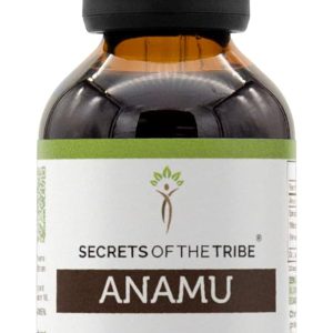 Anamu Tintura Extrato, Wildcrafted Jamaican Guinea Hen Weed, Petiveria Alliacea, Secrets of the Tribe