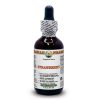Fragaria Vesca - Extrato líquido sem álcool de morango orgânico, Hawaii Pharm