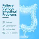 Akkermansia Muciniphila Probiótico com Fibra Prebiótica, 300 Bilhões de AFU para Produção de GLP-1, Saúde Digestiva e Intestinal 120 Cápsulas