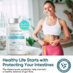 Akkermansia Muciniphila Probiótico com Fibra Prebiótica, 300 Bilhões de AFU para Produção de GLP-1, Saúde Digestiva e Intestinal 120 Cápsulas