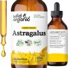 Tintura de Astragalus membranaceus Selvagem e Orgânico Sem Álcool Wild & Organic 120 ml