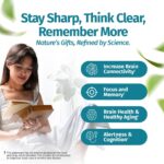 Comprimidos de Suplemento para o Cérebro, Brain Support - 90 cápsulas