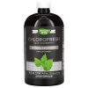 Liquid Chlorophyll, Gotas Líquidas de Clorofila Orgânica, Clorofila Líquida Natural, Suporte ao Sistema Imunológico