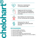 Chelohart - A14 - Peptídeo biorregulador do coração - Garmonia - 20 cápsulas