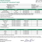 Microativo CoQ10, Aprimorado com MicroPQQ + Shilajit “Liberação Sustentada”, Pure Therapro Rx, 60 Cápsulas