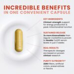 Microativo CoQ10, Aprimorado com MicroPQQ + Shilajit “Liberação Sustentada”, Pure Therapro Rx, 60 Cápsulas