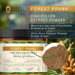 Extrato de Pólen de Pinheiro em Pó 50:1 Raw Forest Foods – 70 g
