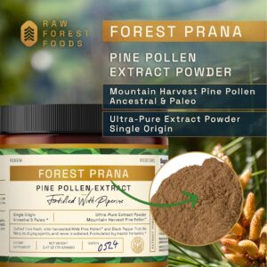 Extrato de Pólen de Pinheiro em Pó 50:1 Raw Forest Foods – 70 g