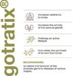 Gotratix - A18 - Peptídeo biorregulador muscular - Garmonia