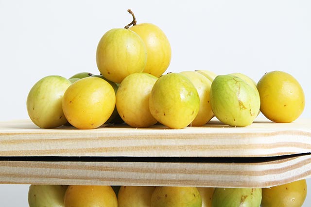 Imbé – Descubra suas origens, benefícios e usos,