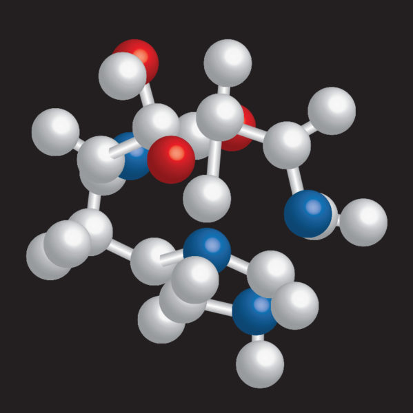 O que torna a N‑acetilcarnosina diferente da L‑carnosina?